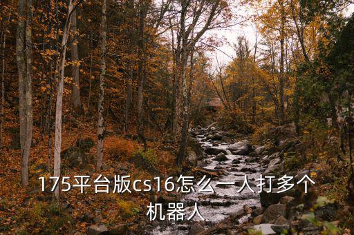 175平台版cs16怎么一人打多个机器人