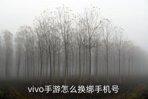 手游vivo怎么换手机号码，vivo手游怎么换绑手机号