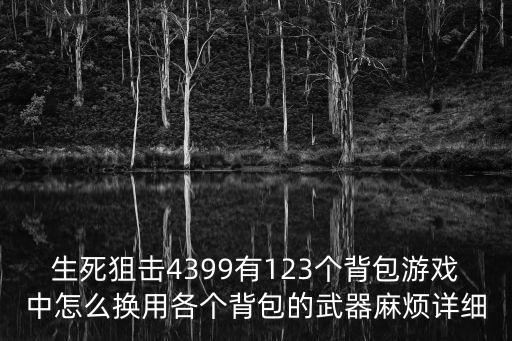 生死狙击4399有123个背包游戏中怎么换用各个背包的武器麻烦详细