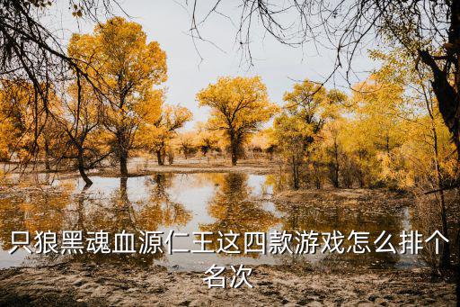 只狼黑魂血源仁王这四款游戏怎么排个名次