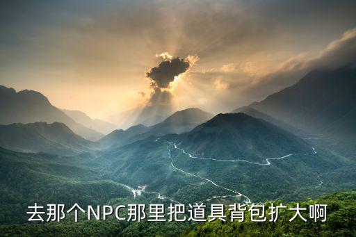 去那个NPC那里把道具背包扩大啊