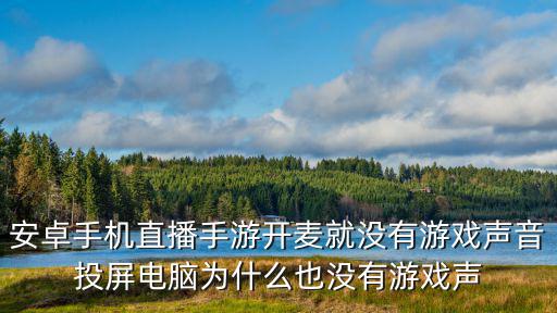 安卓手机直播手游开麦就没有游戏声音投屏电脑为什么也没有游戏声