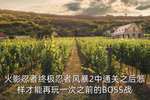 火影忍者终极忍者风暴2中通关之后怎样才能再玩一次之前的BOSS战