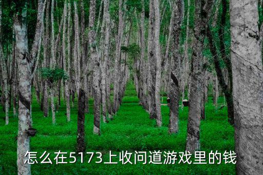 怎么在5173上收问道游戏里的钱