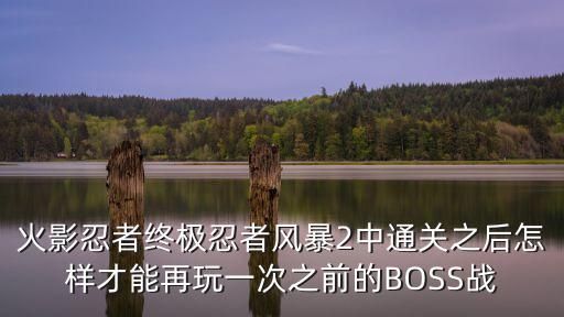 火影忍者终极忍者风暴2中通关之后怎样才能再玩一次之前的BOSS战