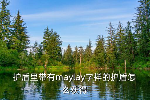 护盾里带有maylay字样的护盾怎么获得