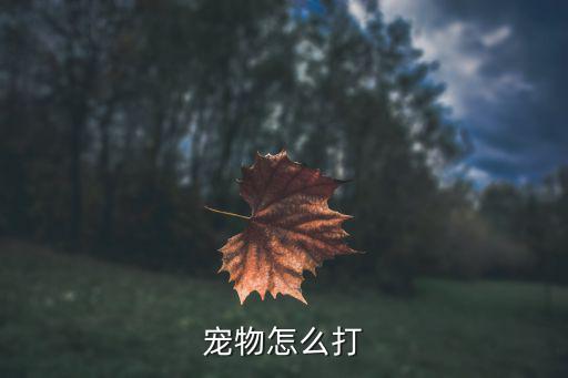 宠物怎么打