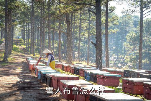 雪人布鲁怎么样