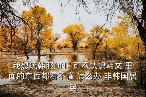 地下城手游韩服看不懂怎么办，韩服dnf不懂韩文怎么办答得好的加分