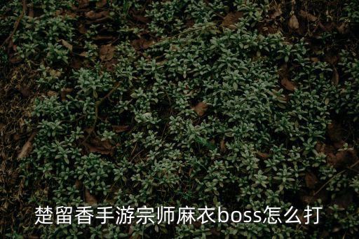 楚留香手游宗师麻衣boss怎么打