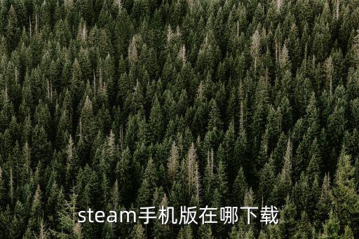 steam手机版在哪下载