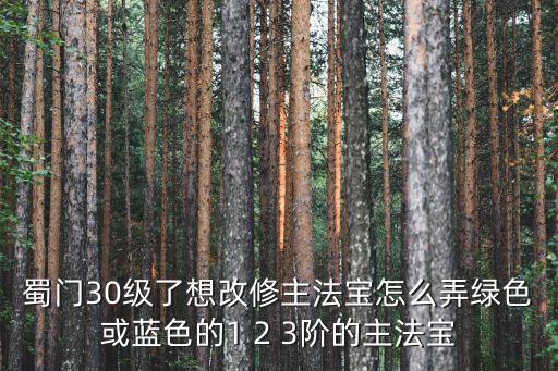 蜀门手游主法宝怎么更换，蜀门30级了想改修主法宝怎么弄绿色或蓝色的1 2 3阶的主法宝