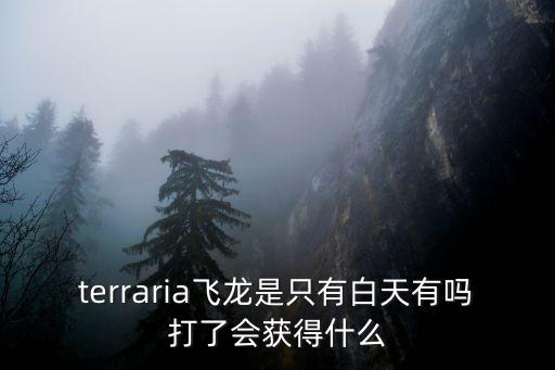 terraria飞龙是只有白天有吗打了会获得什么