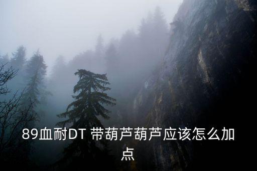 89血耐DT 带葫芦葫芦应该怎么加点