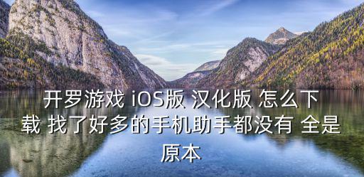 开罗游戏 iOS版 汉化版 怎么下载 找了好多的手机助手都没有 全是原本