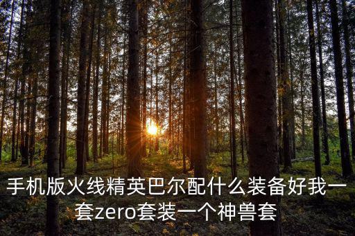 手机版火线精英巴尔配什么装备好我一套zero套装一个神兽套