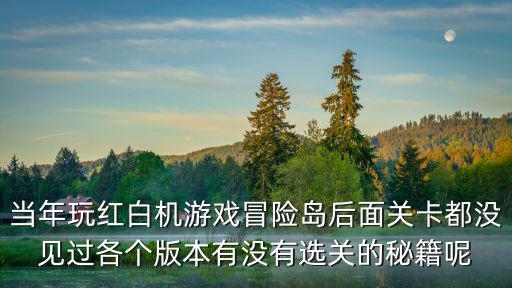 当年玩红白机游戏冒险岛后面关卡都没见过各个版本有没有选关的秘籍呢