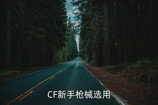 CF新手枪械选用