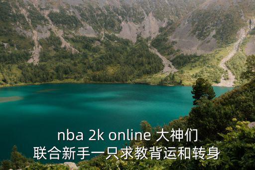 nba 2k online 大神们联合新手一只求教背运和转身