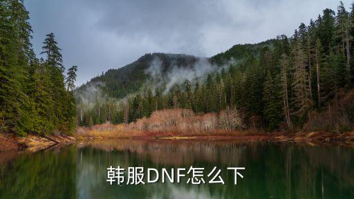 安卓怎么下载dnf韩服手游，韩服DNF怎么下