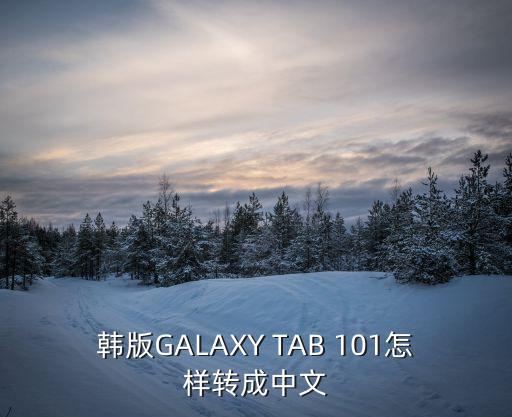 韩版地下城手游怎么切换中文，韩版GALAXY TAB 101怎样转成中文