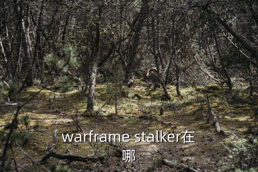 warframe stalker在哪