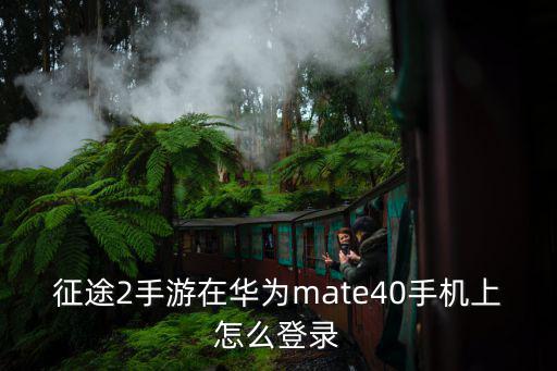 征途2手游在华为mate40手机上怎么登录