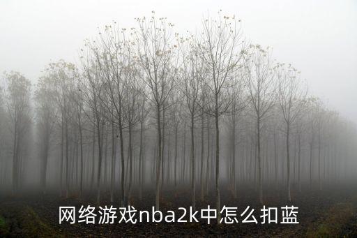 网络游戏nba2k中怎么扣蓝