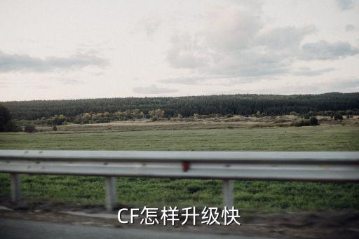 CF怎样升级快