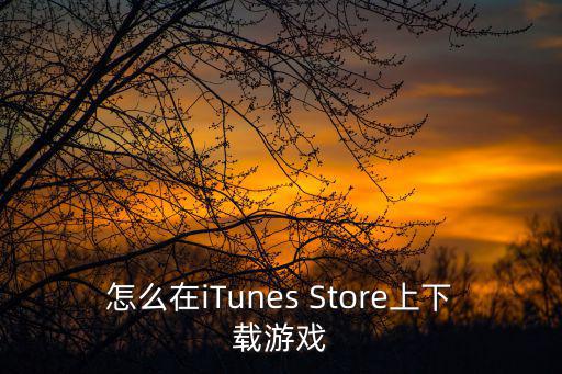 怎么在iTunes Store上下载游戏