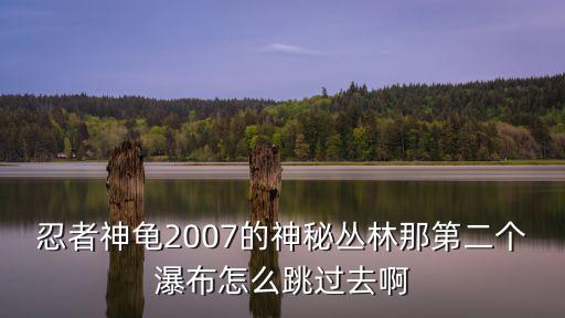 忍者神龟2007的神秘丛林那第二个瀑布怎么跳过去啊