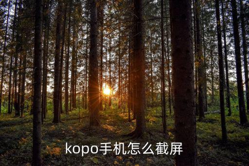 kopo手机怎么截屏