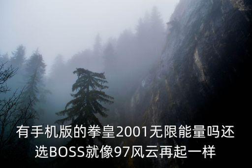 有手机版的拳皇2001无限能量吗还选BOSS就像97风云再起一样