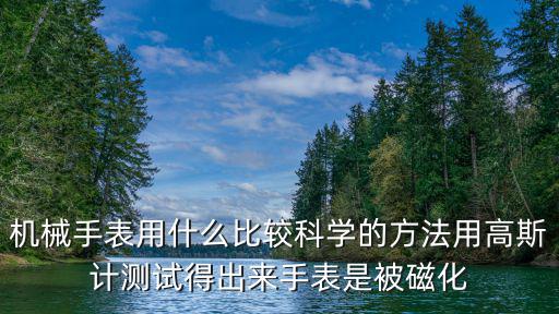 机械手表用什么比较科学的方法用高斯计测试得出来手表是被磁化