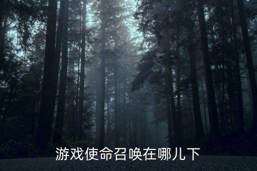 游戏使命召唤在哪儿下