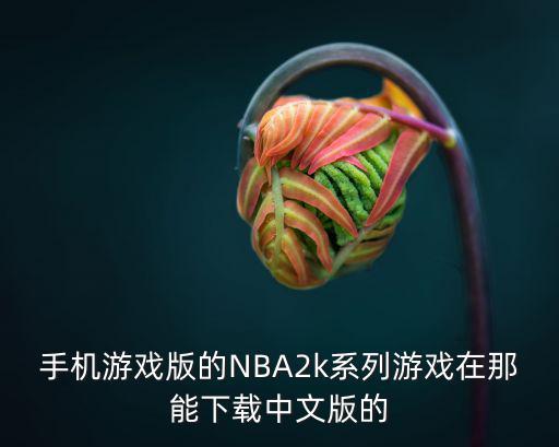 nba2k22手游安卓怎么下中文，手机游戏版的NBA2k系列游戏在那能下载中文版的