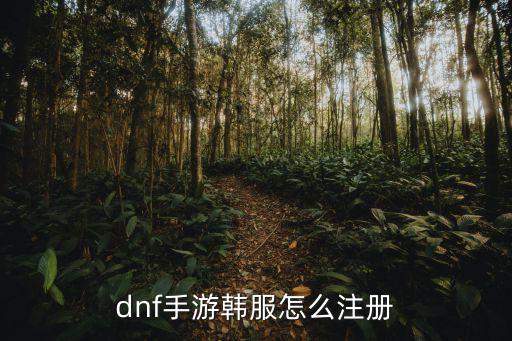 韩服dnf手游怎么获取账号，dnf手游韩服怎么注册