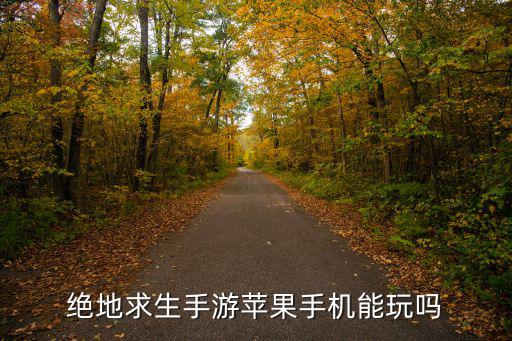 苹果怎么登陆pubg手游，绝地求生手游苹果手机能玩吗