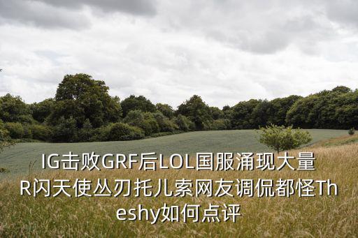 IG击败GRF后LOL国服涌现大量R闪天使丛刃托儿索网友调侃都怪Theshy如何点评