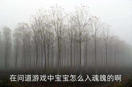 问道手游怎么得到灵魂，在问道游戏中宝宝怎么入魂魄的啊