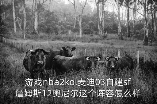 游戏nba2kol麦迪03自建sf詹姆斯12奥尼尔这个阵容怎么样