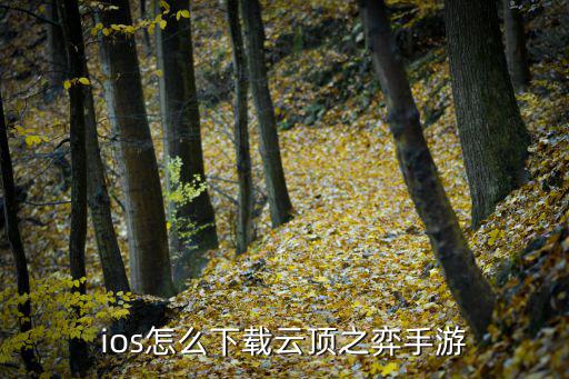 ios怎么下载云顶之弈手游