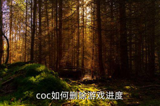 coc如何删除游戏进度