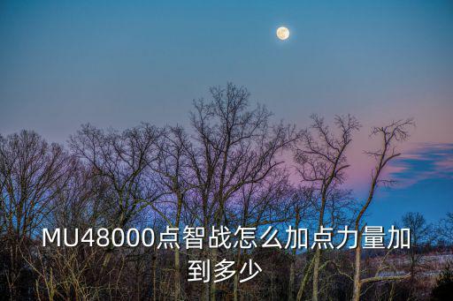 MU48000点智战怎么加点力量加到多少