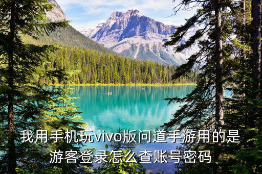 我用手机玩vivo版问道手游用的是游客登录怎么查账号密码