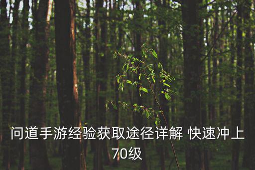 问道手游经验获取途径详解 快速冲上70级