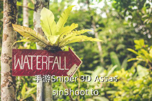 手游Sniper 3D AssassinShoot to