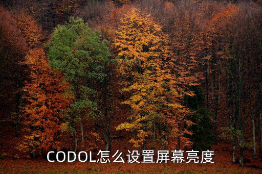 CODOL怎么设置屏幕亮度