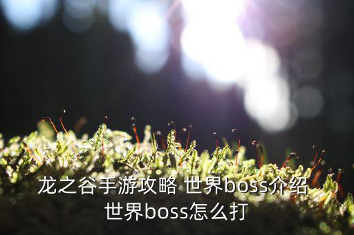 龙之谷手游攻略 世界boss介绍 世界boss怎么打