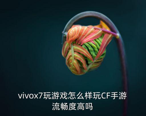 vivox7玩游戏怎么样玩CF手游流畅度高吗